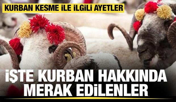 Kurban ibadeti hakkında her şey: Herkes biliyor ama gözden kaçan bilgiler...