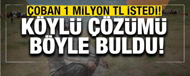 Çoban 1 milyon TL istedi! Köylü çözümü böyle buldu