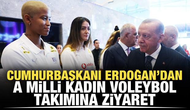 Cumhurbaşkanı Erdoğan, Filenin Sultanları ile bir araya geldi