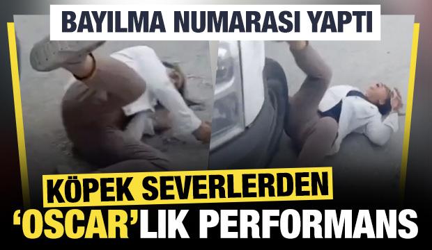 Köpek severlerden ‘Oscar’lık performans: Bayılma numarası yaptı