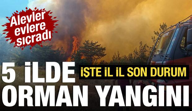 Arka arkaya korkutan yangın! İşte alevlerin yükseldiği iller