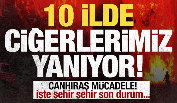 Ciğerlerimiz yanıyor! 10 ilde orman yangını: İşte son durum....