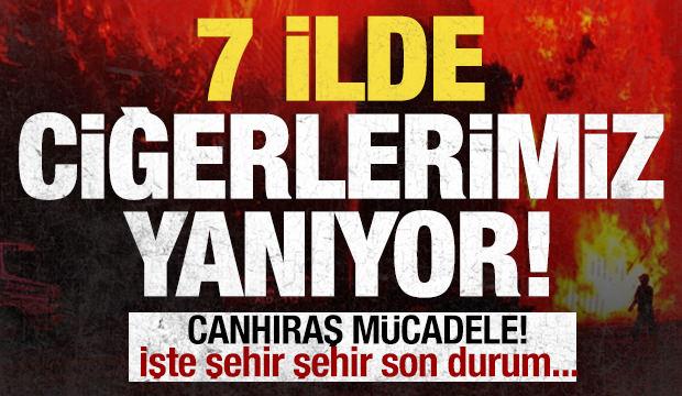 Ciğerlerimiz yanıyor! 7 ilde orman yangını: İşte son durum....
