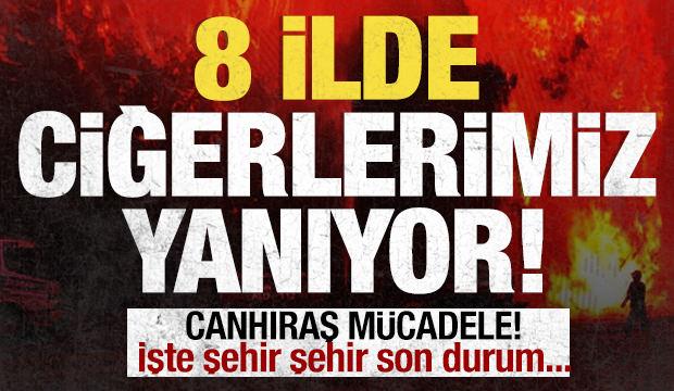 Ciğerlerimiz yanıyor! 8 ilde orman yangını: İşte son durum....