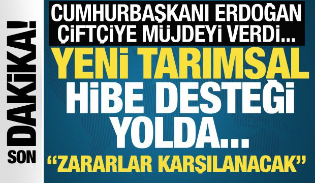 Cumhurbaşkanı Erdoğan'dan çiftçilere müjde! 'Sigortalı, sigortasız zararlar karşılanacak'