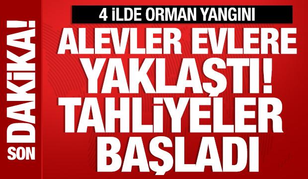 İzmir'de orman yangını büyüyor: Alevler evlere yaklaştı! Tahliyeler başladı
