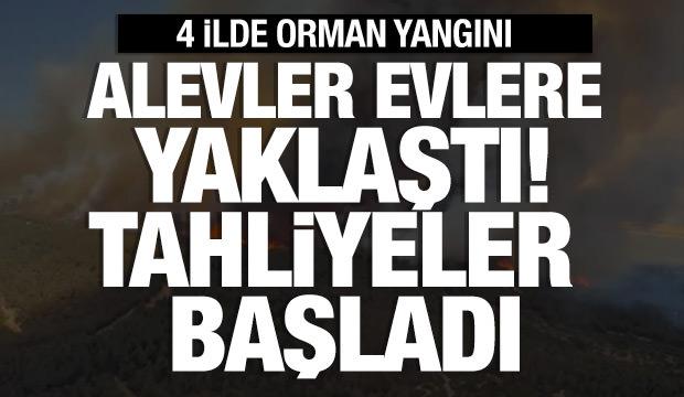 İzmir'de orman yangını büyüyor: Alevler evlere yaklaştı! Tahliyeler başladı