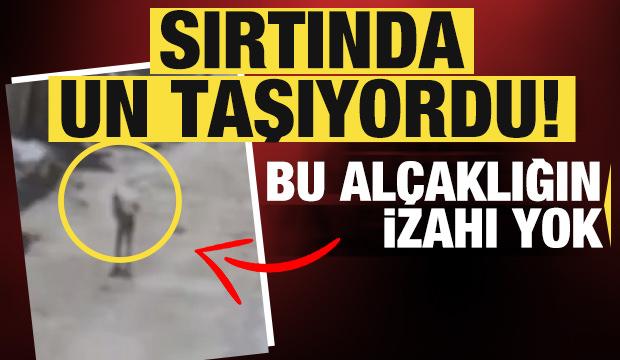 Sırtında un taşıyordu! Vahşice katledildi