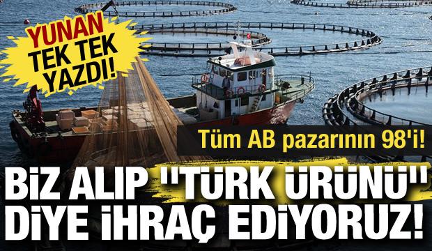 Yunanistan ile balıkçılıkta büyük rekabet: Biz alıp "Türk ürünü" diye ihraç ediyoruz!