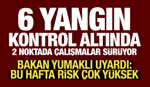 Bakan Yumaklı'dan orman yangını açıklaması! İşte kontrol altına alınan yerler