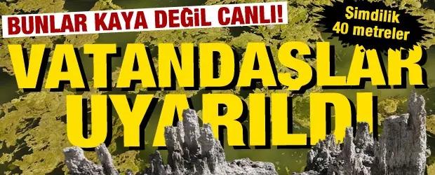 Bunlar kaya değil canlı! Vatandaşlar uyarıldı: Şimdilik 40 metreler