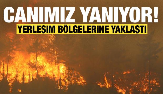 Canımız yanıyor: Hatay'daki orman yangını yerleşim yerlerine yaklaştı