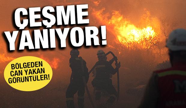 Çeşme'den can yakan görüntüler