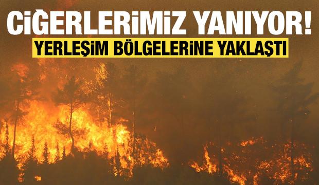 Ciğerlerimiz yanıyor: Hatay'daki orman yangını yerleşim yerlerine yaklaştı