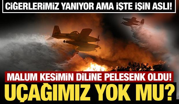 Ciğerlerimiz yanıyor! Malum kesimin diline pelesenk oldu! Uçağımız yok mu?