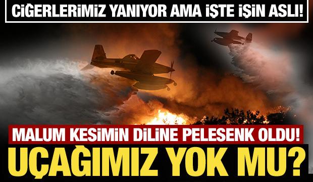 Ciğerlerimiz yanıyor! Malum kesimin diline pelesenk oldu! Uçağımız yok mu?