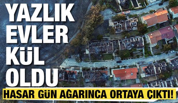 Hasar gün aydınlanınca ortaya çıktı! Yazlık evler kül oldu