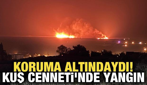 Koruma altında bulunan Kuş Cenneti'nde yangın!