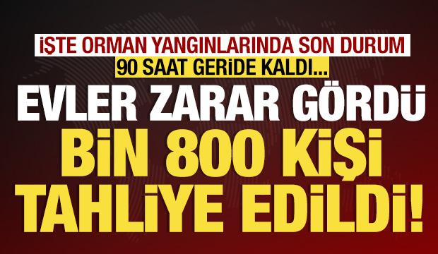 Orman yangınları ile mücadelede 4. gün: Son durum ne? 