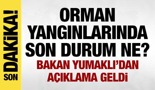 Orman yangınları ile mücadelede 4. gün: Son durum ne? Bakan Yumaklı'dan açıklama!