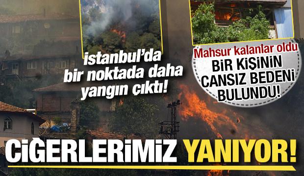 Orman yangınlarında son durum! Bir kişinin cesedi bulundu, İstanbul'da iki noktada yangın!