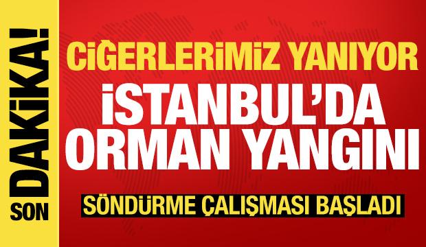 Orman yangınlarında son durum ne? Bir kişinin yanmış cesedi bulundu, yollar kapatıldı!