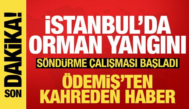 Orman yangınlarında son durum ne? Bir kişinin yanmış cesedi bulundu, yollar kapatıldı!