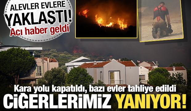 Orman yangınlarında son durum ne? Birçok ilde ciğerlerimiz yanıyor...