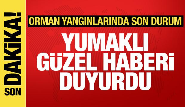 Son dakika: Çeşme'deki yangın kontrol altına alındı