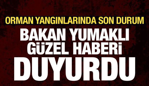 Son dakika: Çeşme'deki yangın kontrol altına alındı