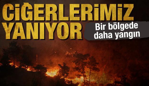 Son dakika: Orman yangınlarında son durum! Hatay'da da yangın çıktı