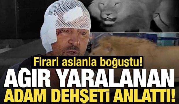 Antalya'da aslan kabusu bitti! Saldırıda ağır yaralanan adamın sözleri dehşete düşürdü