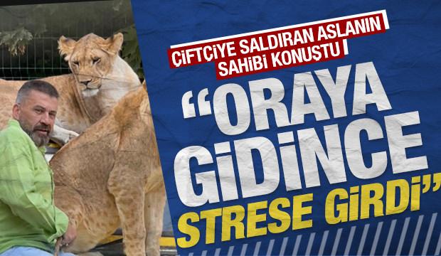 Çiftçiye saldıran ‘Zeus’ isimli aslanın sahibi konuştu: ‘İnsanlara saldırmazdı’