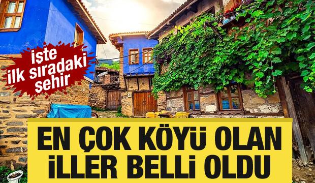 En çok köyü olan iller belli oldu! İşte ilk sıradaki şehir