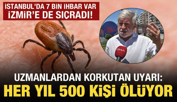 İstanbul'dan sonra İzmir'e sıçradı! Her yıl 500 kişi ölüyor!
