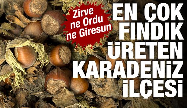 Karadeniz'in göz bebeği en çok bu ilde yetişiyor! Ne Giresun ne ordu...