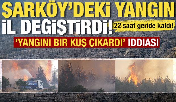 21. saate girildi: Tekirdağ'daki yangın geniş alana yayıldı! Müdahale sürüyor