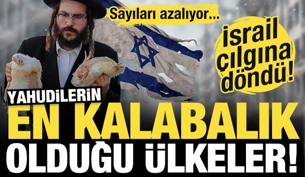 İsrail alarma geçti: Sayıları azalıyor! İşte Yahudilerin en kalabalık olduğu ülkeler!
