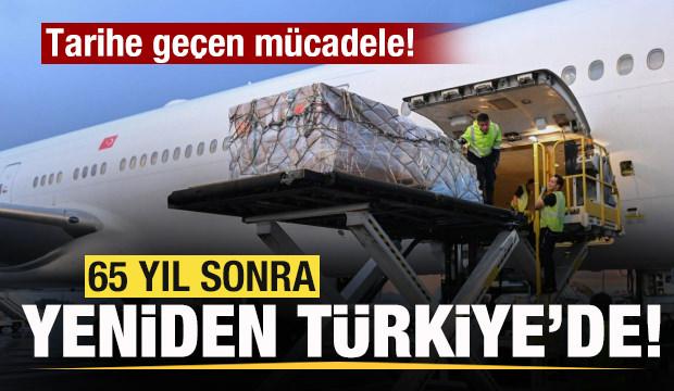 Marcus Aurelius 65 yıl sonra Türkiye'ye geri döndü! Tarihe geçen mücadele!