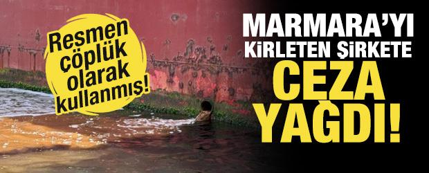 Marmara'yı kirletmişti! 3 milyon 739 bin lira ceza kesildi!