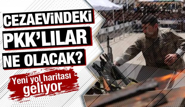 PKK'lılar için yeni hukuki süreç başlıyor! Masada 4 başlık var