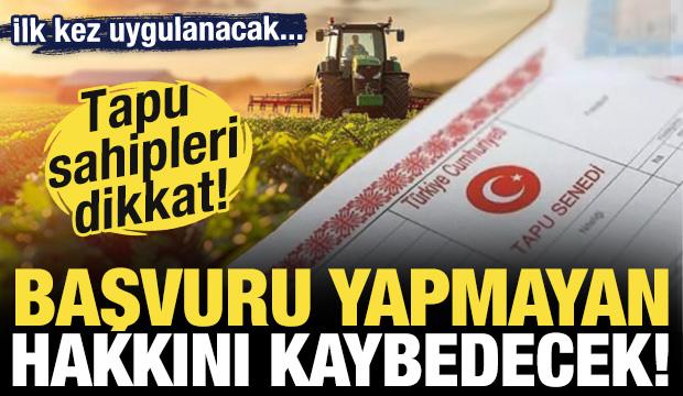 Tapu sahipleri dikkat! İlk kez uygulanacak! Başvuru yapmayan hakkını kaybedecek