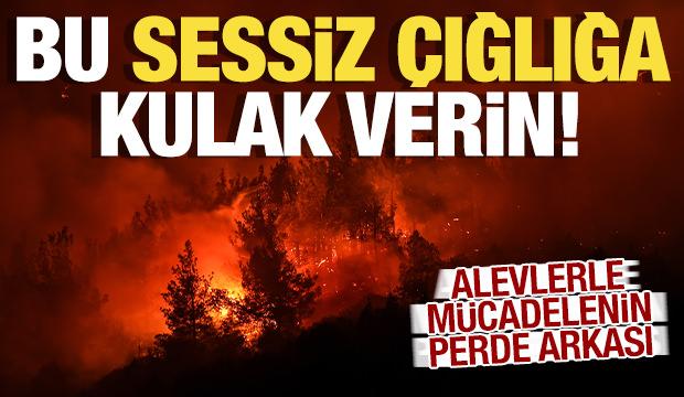 Yeşil Vatan Yanarken Sessiz Çığlıklar…