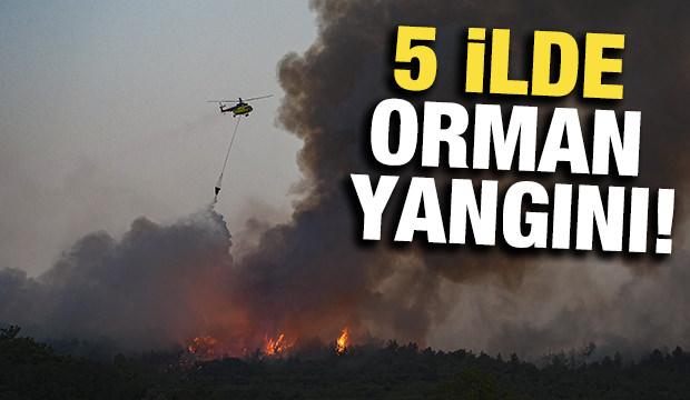5 ilde orman yangını: Müdahaleler sürüyor, işte son durum!