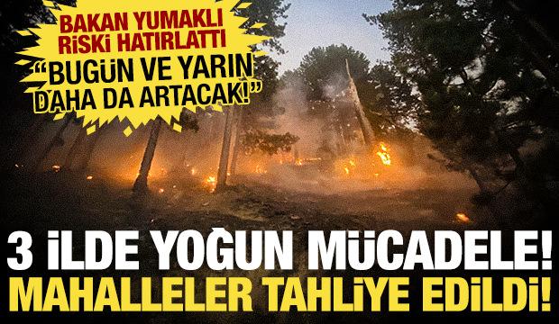 Antalya'daki yangın nedeniyle Mersin'de tahliyeler başladı! Yangınlarla mücadelede 4. gün