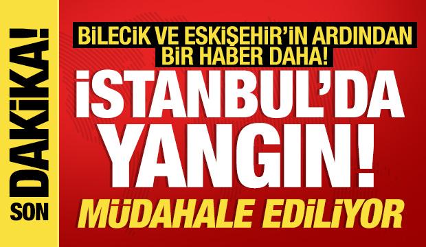 Bilecik'te yangın yeniden alevlendi! Bir haber de İstanbul'dan: Müdahale ediliyor!