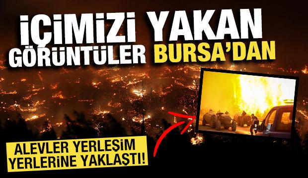 Bursa'da alevler yerleşim yerlerine yaklaştı! İç yakan görüntüler