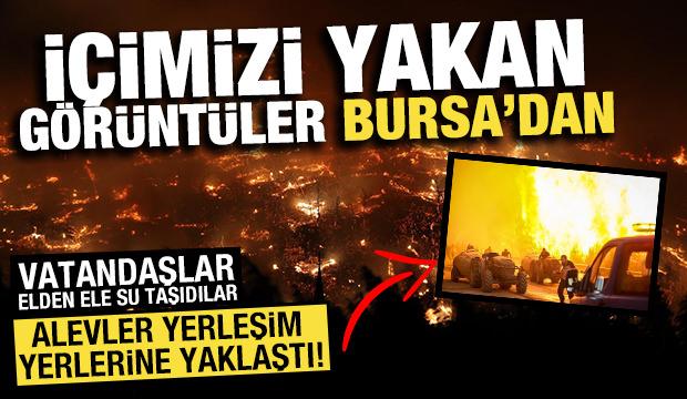 Bursa'da alevler yerleşim yerlerine yaklaştı! İç yakan görüntüler