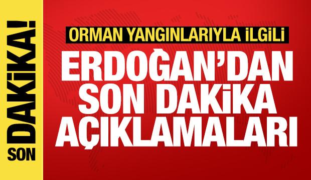 Cumhurbaşkanı Erdoğan'dan son dakika orman yangını açıklaması! 'Teyakkuz halindeyiz'