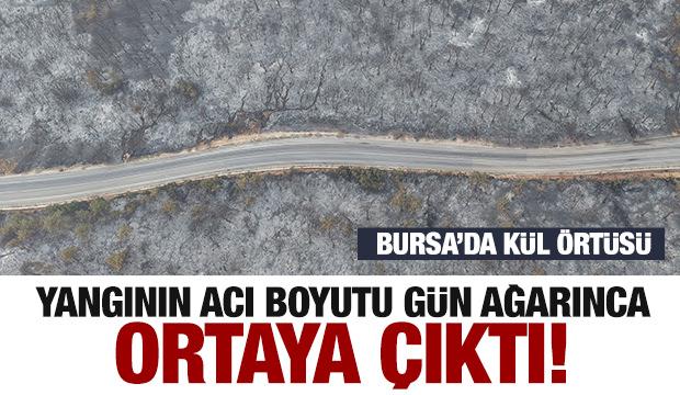 Bursa'daki yangının acı boyutu gün ağarınca ortaya çıktı